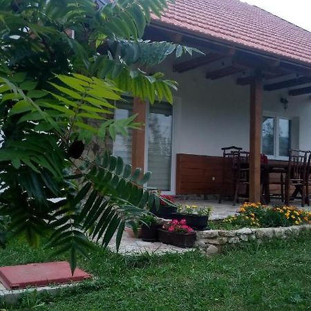 Nektar Park Villa Sara Bihać Exteriér fotografie