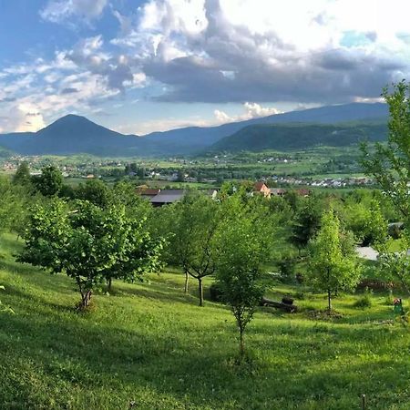 Nektar Park Villa Sara Bihać Exteriér fotografie