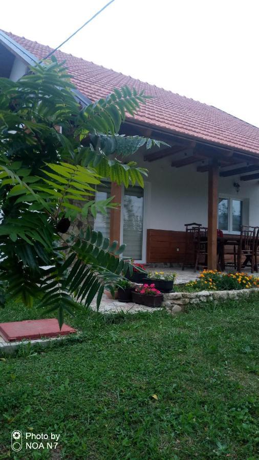 Nektar Park Villa Sara Bihać Exteriér fotografie