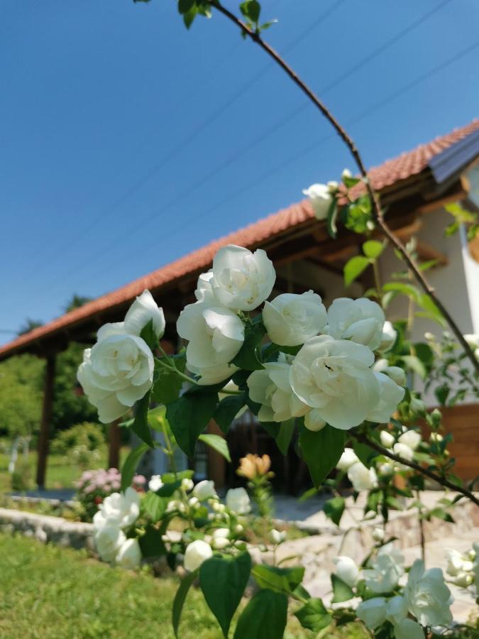 Nektar Park Villa Sara Bihać Exteriér fotografie
