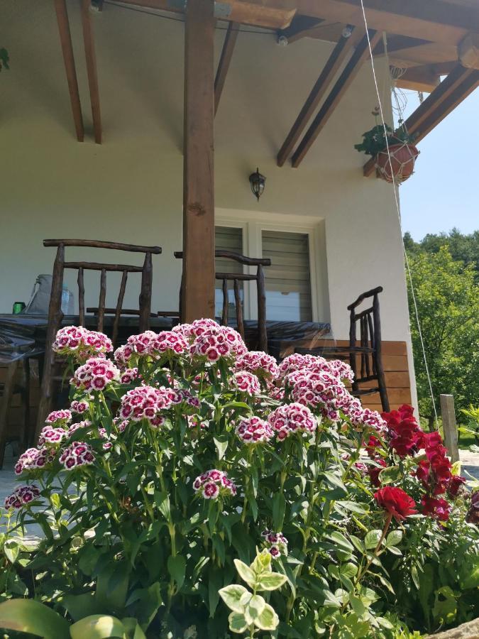 Nektar Park Villa Sara Bihać Exteriér fotografie