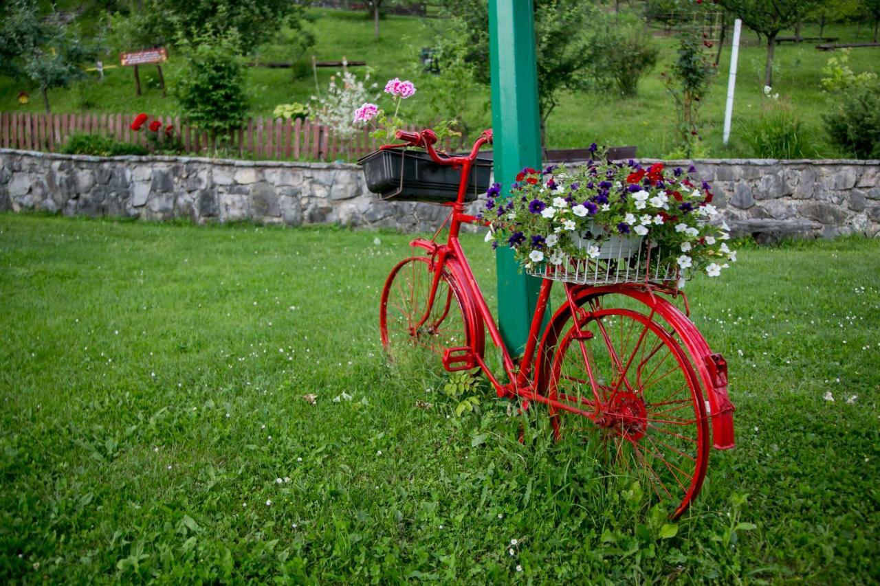 Nektar Park Villa Sara Bihać Exteriér fotografie