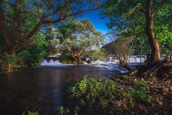 Nektar Park Villa Sara Bihać Exteriér fotografie