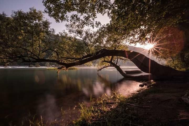 Nektar Park Villa Sara Bihać Exteriér fotografie