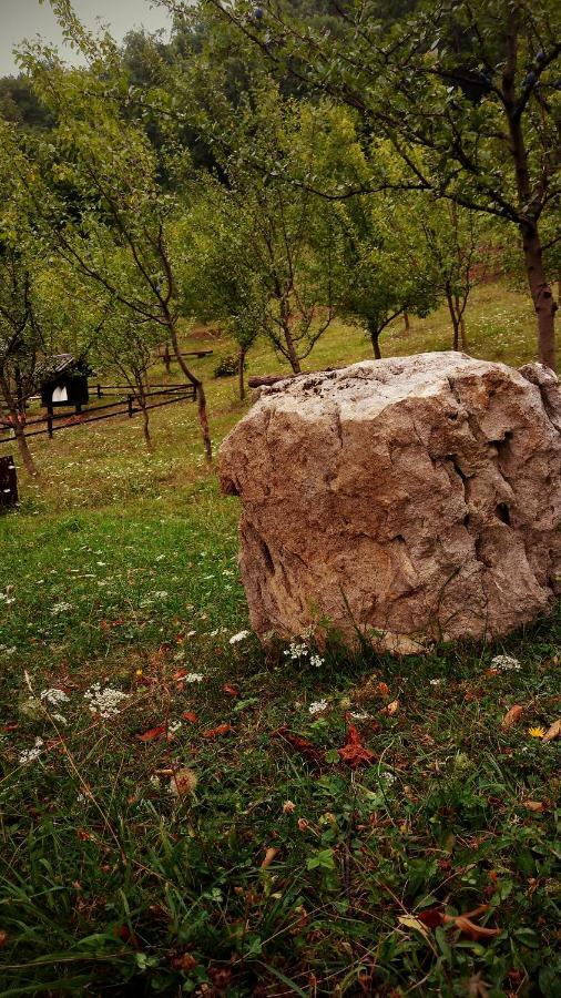 Nektar Park Villa Sara Bihać Exteriér fotografie